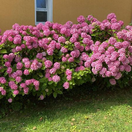 Ferienwohnung Residenza Viel Bibione Exterior foto